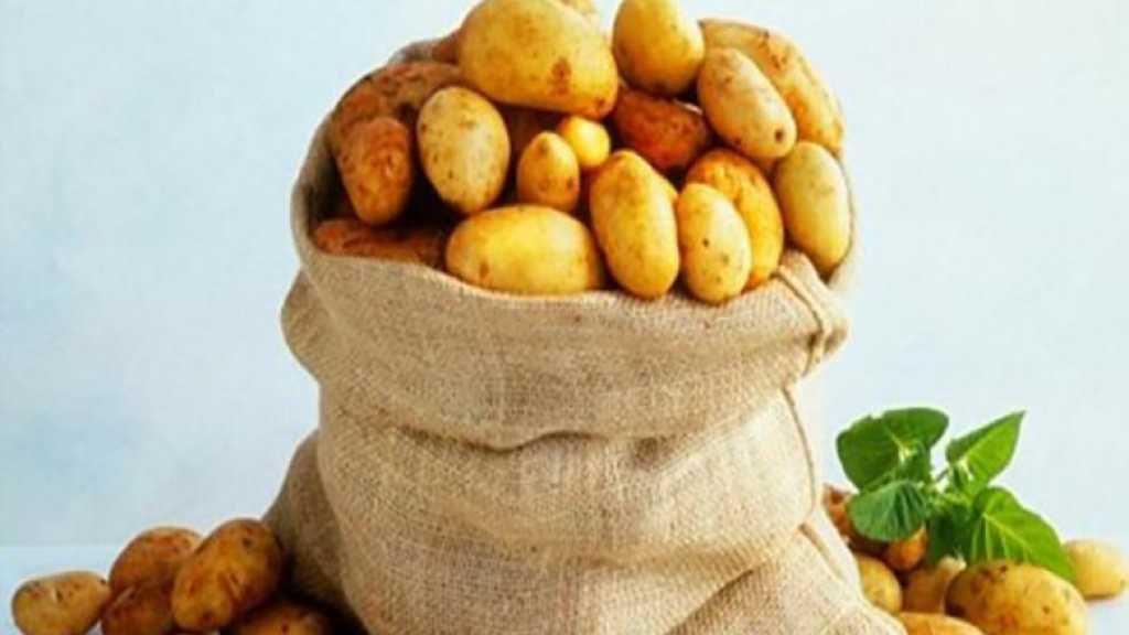 البطاطا تحمي من تدهور الخلايا العصبية