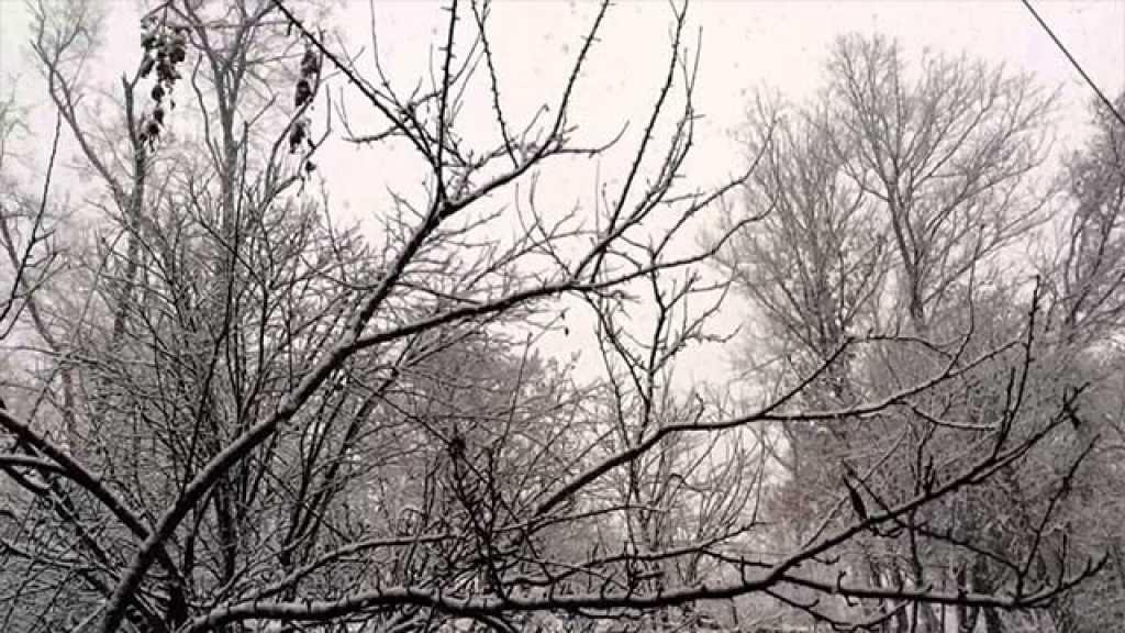 البرد يجمد كوريا الجنوبية.. والحرارة 25 تحت الصفر