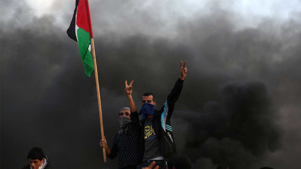 فلسطين .. انتفاضة القدس والهوية