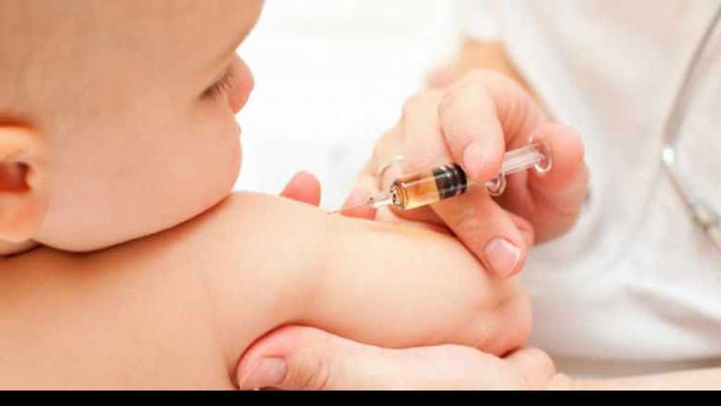 البرازيل: حالة طوارىء صحية بسبب الحمى الصفراء