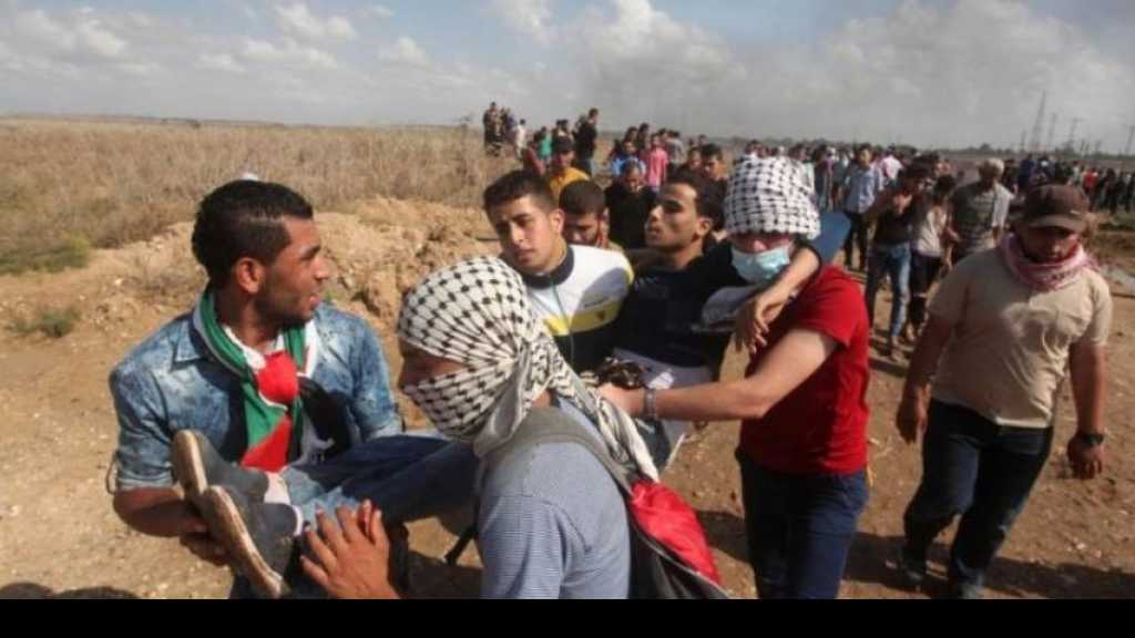  اصابات برصاص الاحتلال في مواجهات &rsquo;جمعة الغضب الثامنة&rsquo; شرق غزة