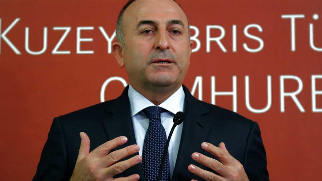 تركيا: سوتشي كان ناجحًا والبيان الختامي للمؤتمر تضمَّن مطالب أنقرة