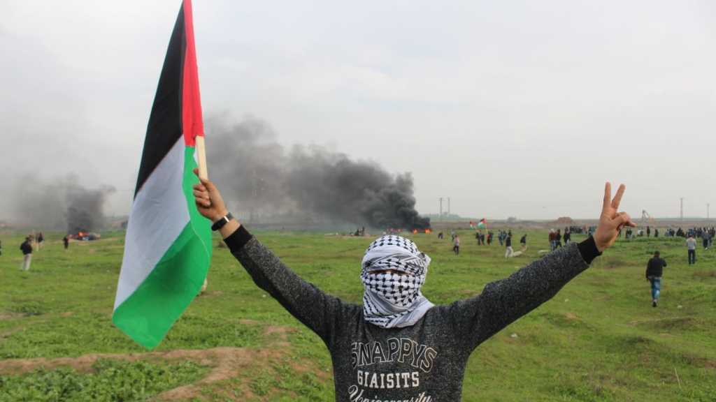 إصابات بمواجهات وفعاليات بالضفة وغزة بـ&rsquo;جمعة الشهيد أحمد جرار&rsquo;