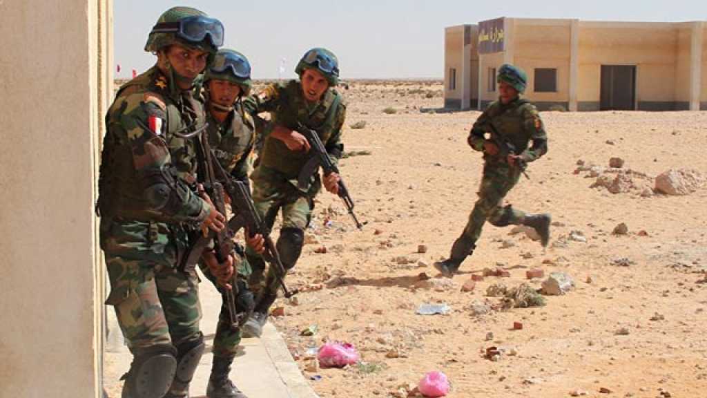 مصر: القضاء على 12 إرهابيًّا والقبض على 92 آخرين في سيناء