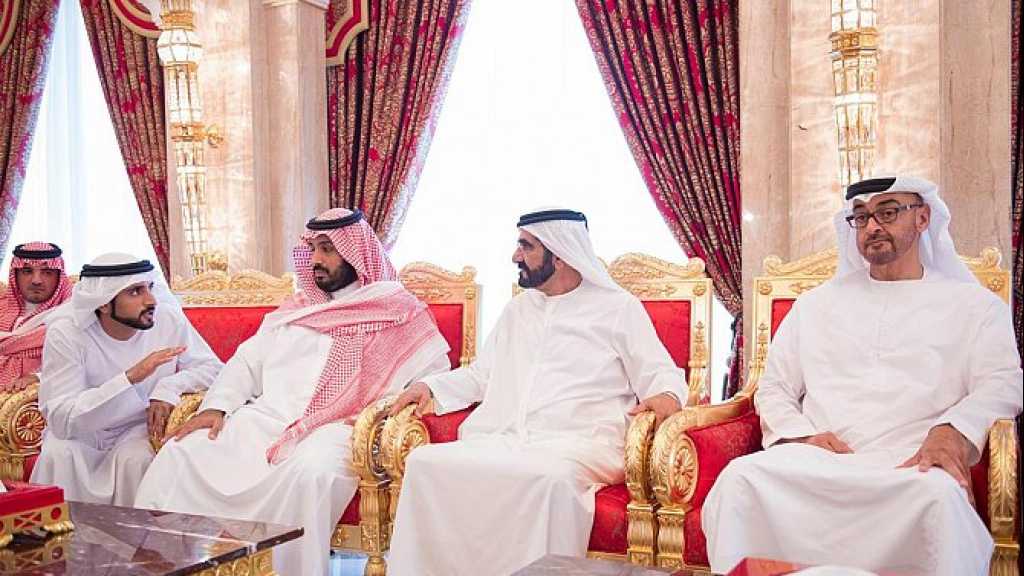  &rsquo;دويتشه فيله&rsquo;: الإمارات تهدّد خطط السعودية في اليمن بالفشل