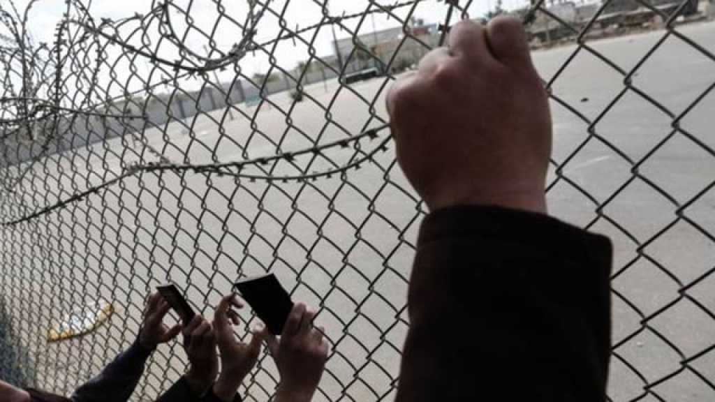 مصر: إسقاط جنسية شقيقين تَصَهْينا..