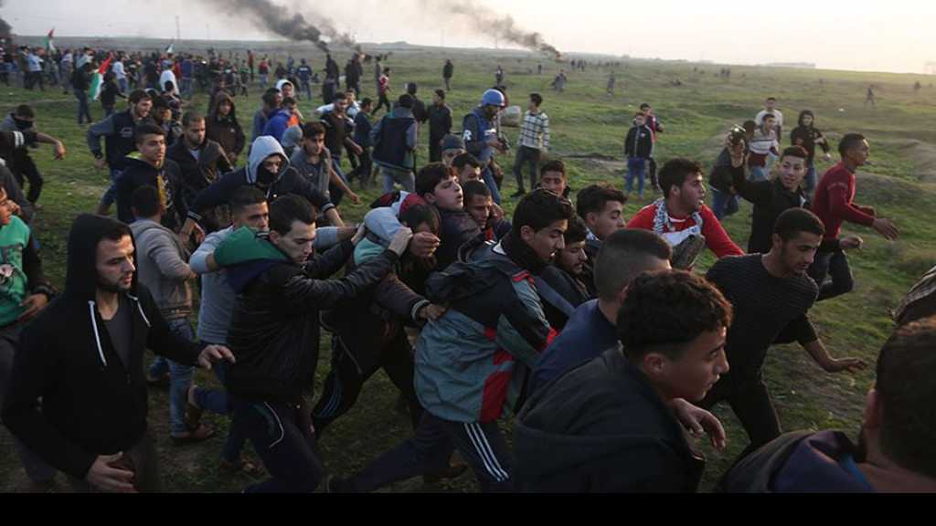 شهيدٌ فلسطيني في غزة وقوات الاحتلال تكثّف اعتقالاتها في الضفة