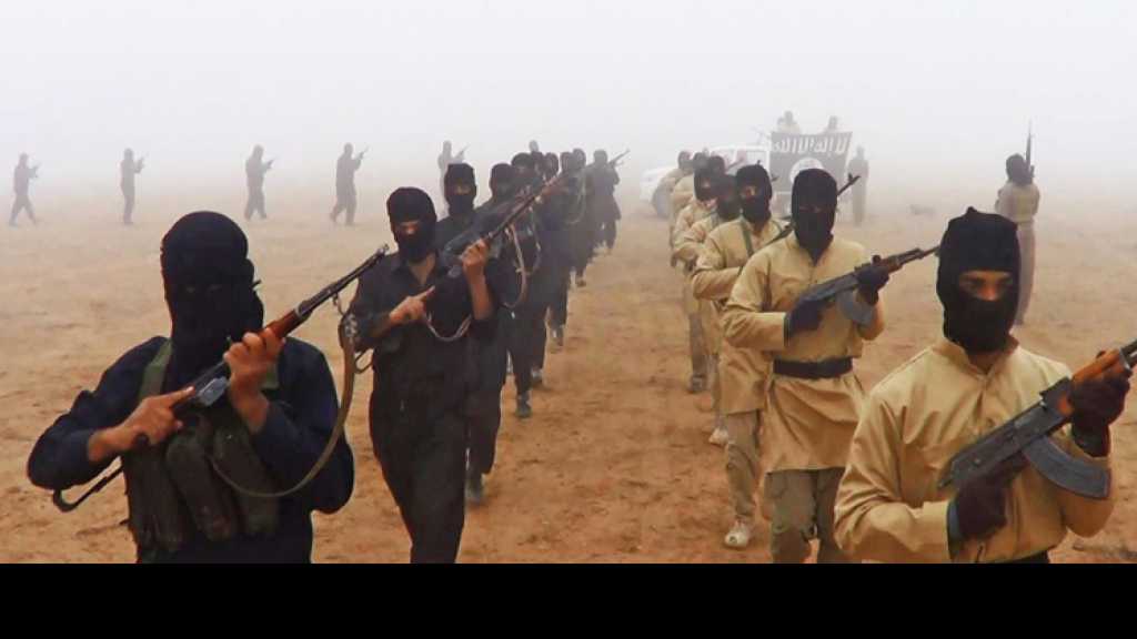  كاتب أمريكي: &rsquo;القاعدة&rsquo; تتبع استراتيجية متعمّدة تشمل جميع فروعها