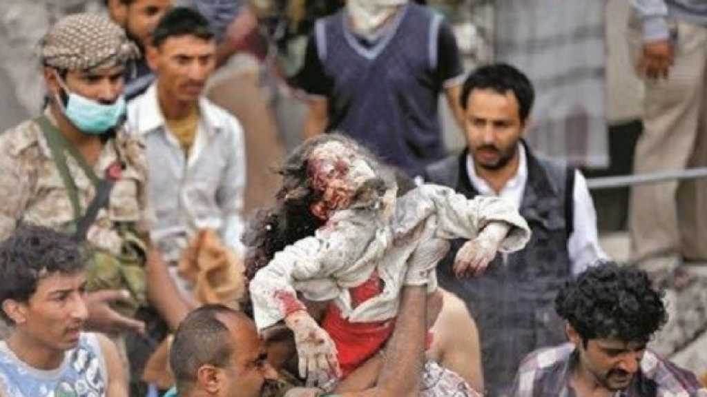 رئيسة البعثة الأوروبية إلى صنعاء: الحرب على اليمن يجب أن تتوقّف