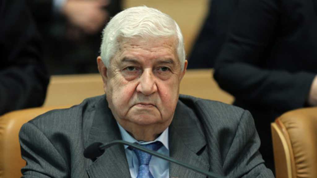 المعلم يعرب عن امتنان بلاده لجهود سلطنة عمان من أجل إعادة الاستقرار إلى سوريا