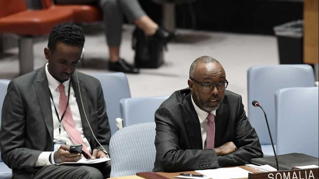  الصومال: الإمارات تنتهك سيادتنا