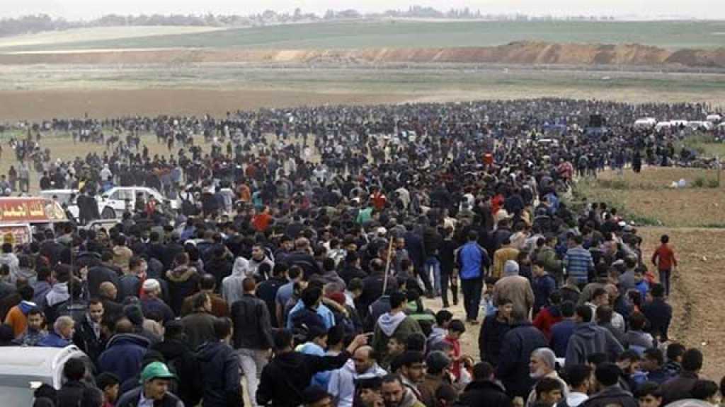 11 مصابًا فلسطينيًا برصاص الإحتلال وعشرات حالات الاختناق