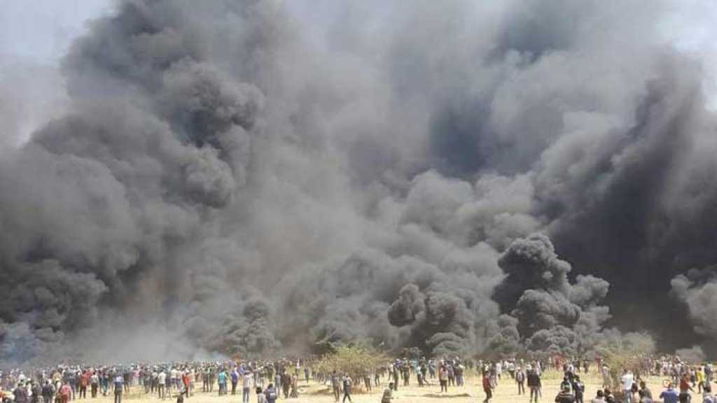 &rsquo;جمعة الكوشوك&rsquo; تكشف الغطرسة الإسرائيلية..استشهاد عدد من الفلسطينيين وإصابة المئات