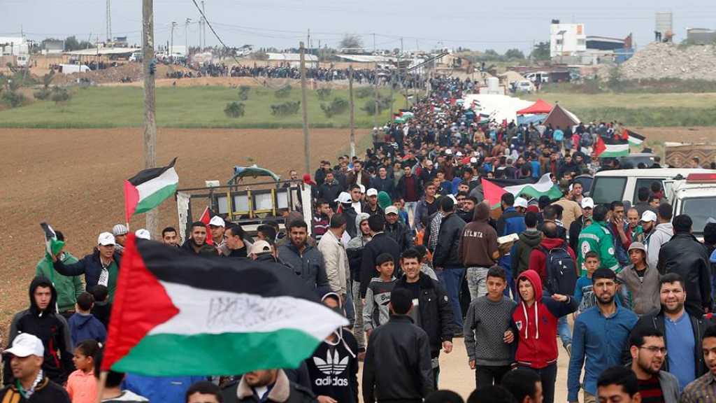 &rsquo;مخيمات العودة&rsquo; تعزّز تعلّق الأجيال الفلسطينية الصاعدة بميراث الأجداد