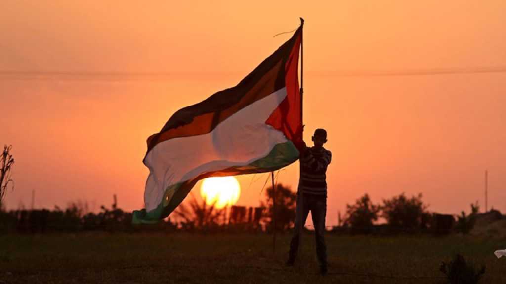 مسيرة العودة في جمعتها الثالثة.. إصرار على الاستمرار رغم الرصاص