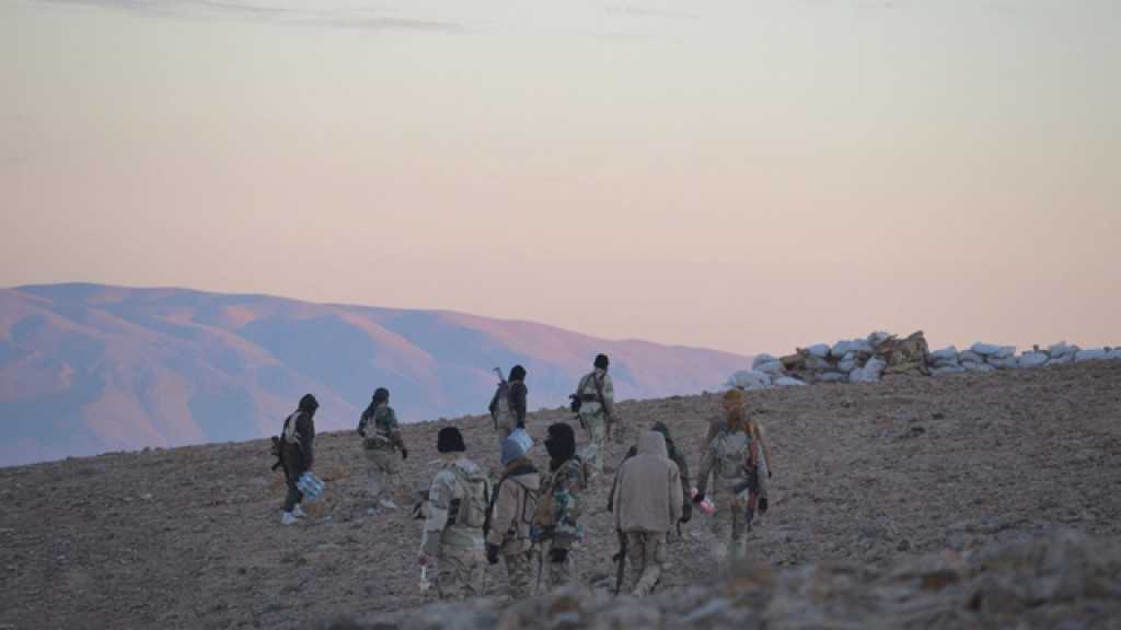 إرهابيو الضمير يواصلون تسليم أسلحتهم قبيل مغادرتها