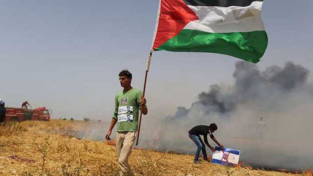 جمعة رابعة من مسيرات العودة