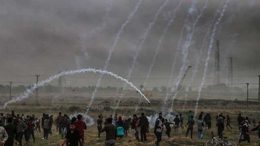 مطالبات فلسطينية بتجاوز عجز المجتمع الدولي وإرغامه على وقف العربدة الصهيونية