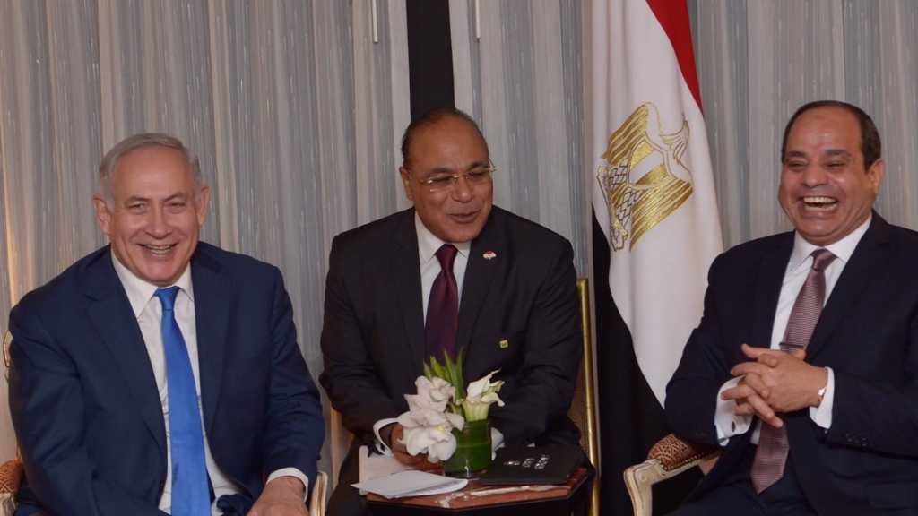  السيسي يلتقي وفدًا يهوديًا من أميركا