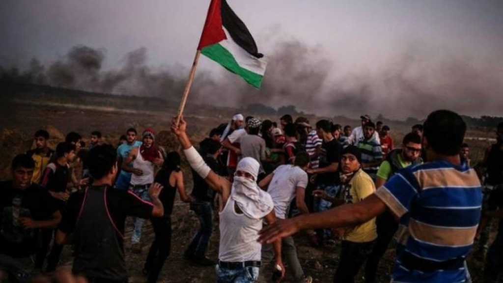 ’والاه’: لا حلّ للطائرات الورقية
