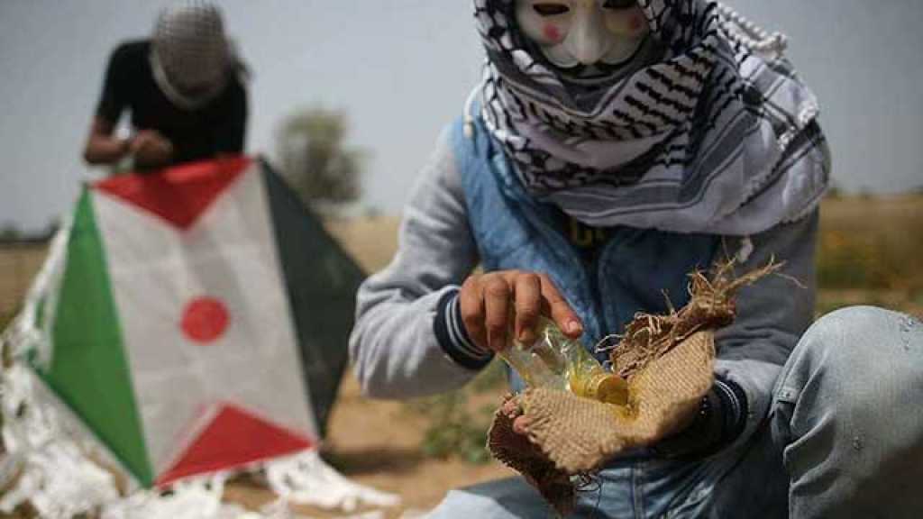 الأطباق الورقية الحارقة .. إبداعٌ شبابيٌ فلسطينيٌ يُربك الاحتلال