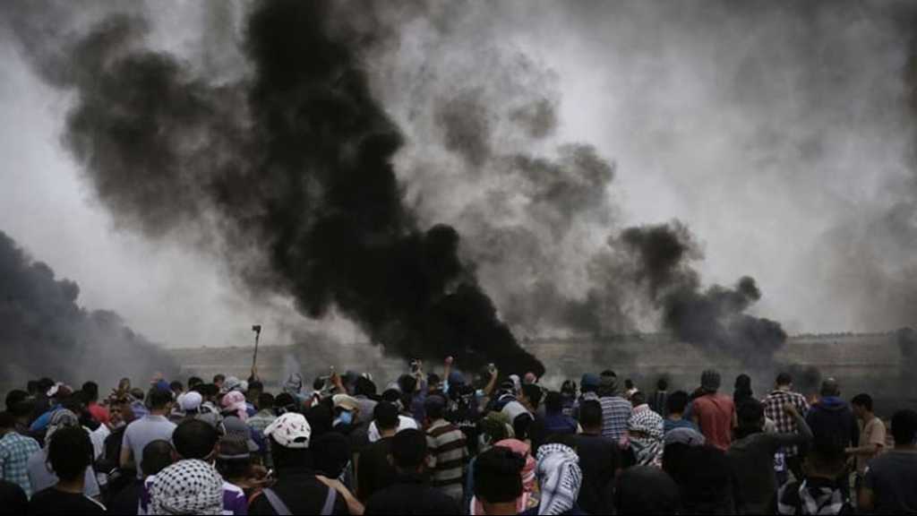 في الذكرى الـ70 للنكبة .. دعوات فلسطينية للاحتشاد الكبير يومي 14 و15 أيار/مايو