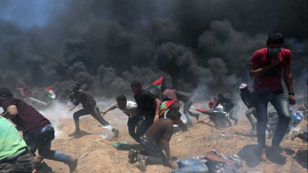 شهيدان و250 جريحاً برصاص الاحتلال الصهيوني شرق قطاع غزة وفي الضفة الغربية