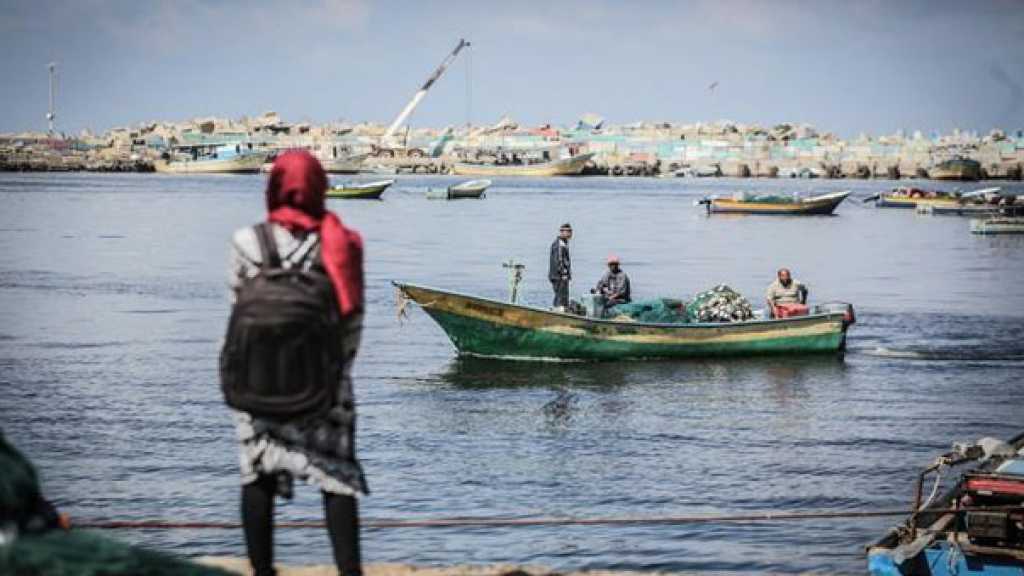 &rsquo;أسطول الحرية والعودة لفلسطين&rsquo; يحطّ في كوبنهاغن