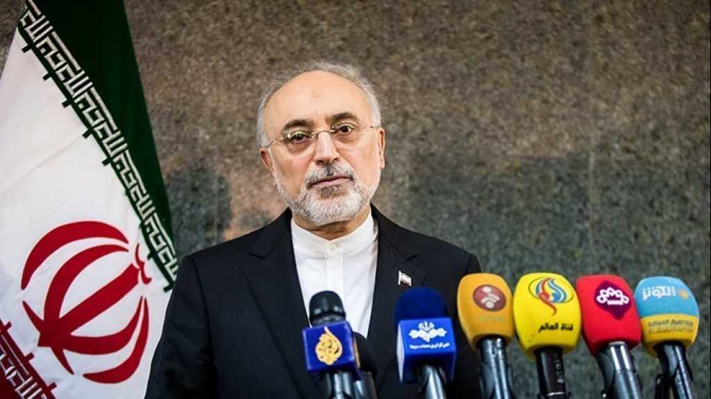 &nbsp;صالحي: بدأنا بتخصيب النظائر المشعة المستقرة بمساعدة روسيا