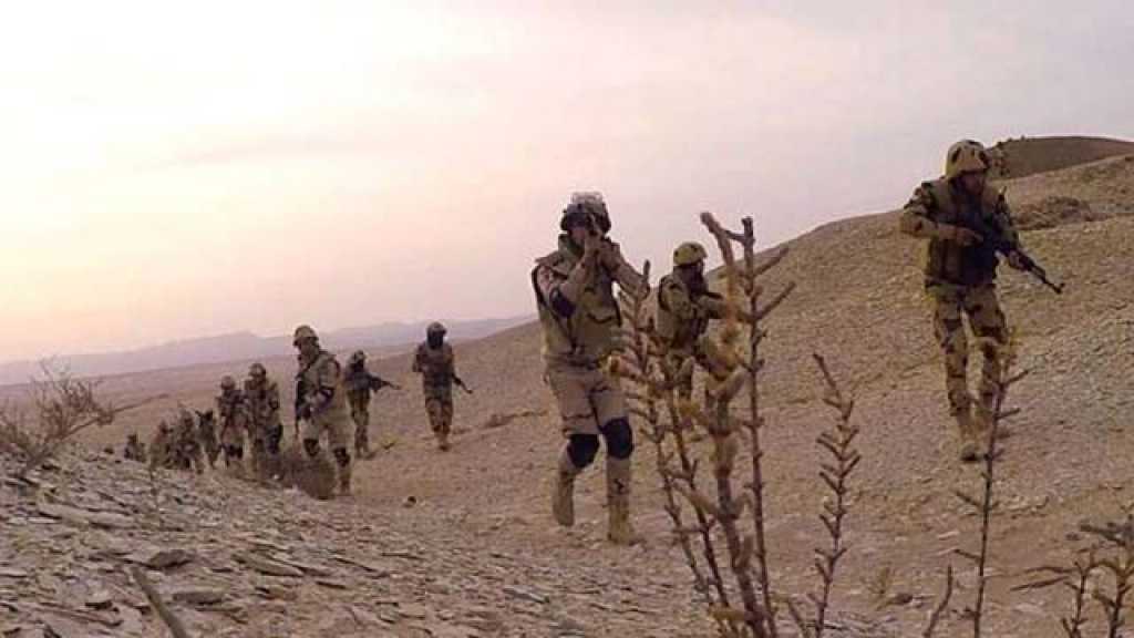 مصر: مقتل 8 مسلحين في سيناء