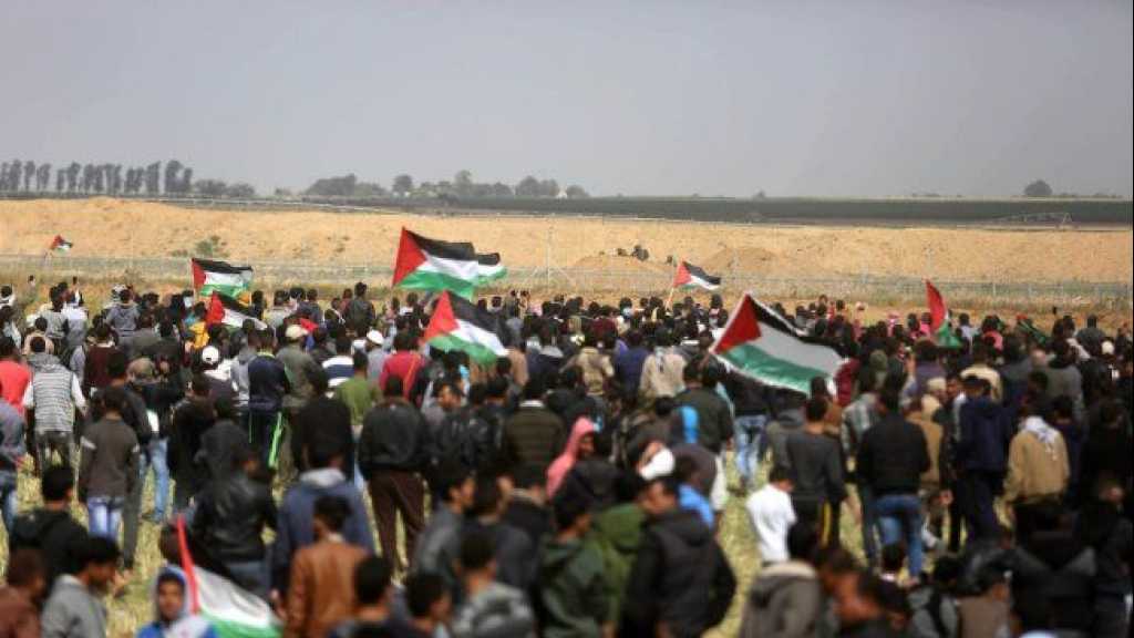 جُمعة &rsquo;من غزة إلى حيفا&rsquo; تنطلق