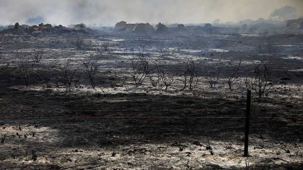 الطائرات الورقية الفلسطينية الحارقة تربك كيان العدو