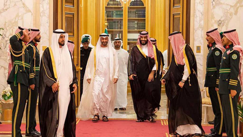  ابن سلمان وابن زايد يدشّنان مجلسهما التنسيقي