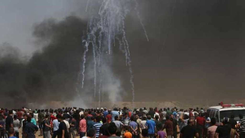 4 شهداء و618 مصابا بالرصاص الحي والغاز الصهيوني في غزة