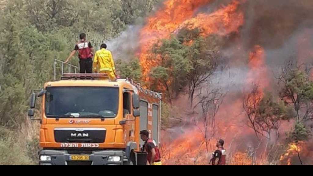 اندلاع 11 حريقاً في مستوطنات &rsquo;غلاف غزة&rsquo; بفعل الطائرات والبالونات الحارقة