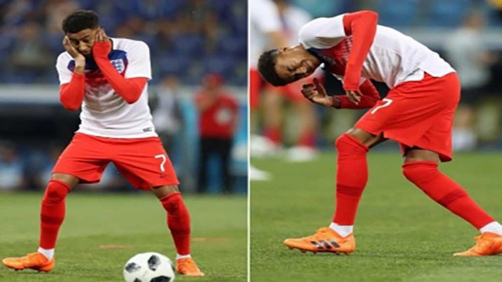 البعوض يهاجم لاعبي إنجلترا وتونس في المونديال