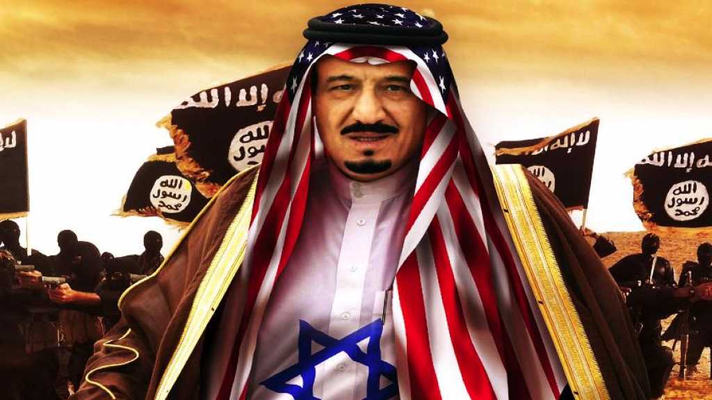 الفكر الوهابي من اهم مسببات انتشار الارهاب
