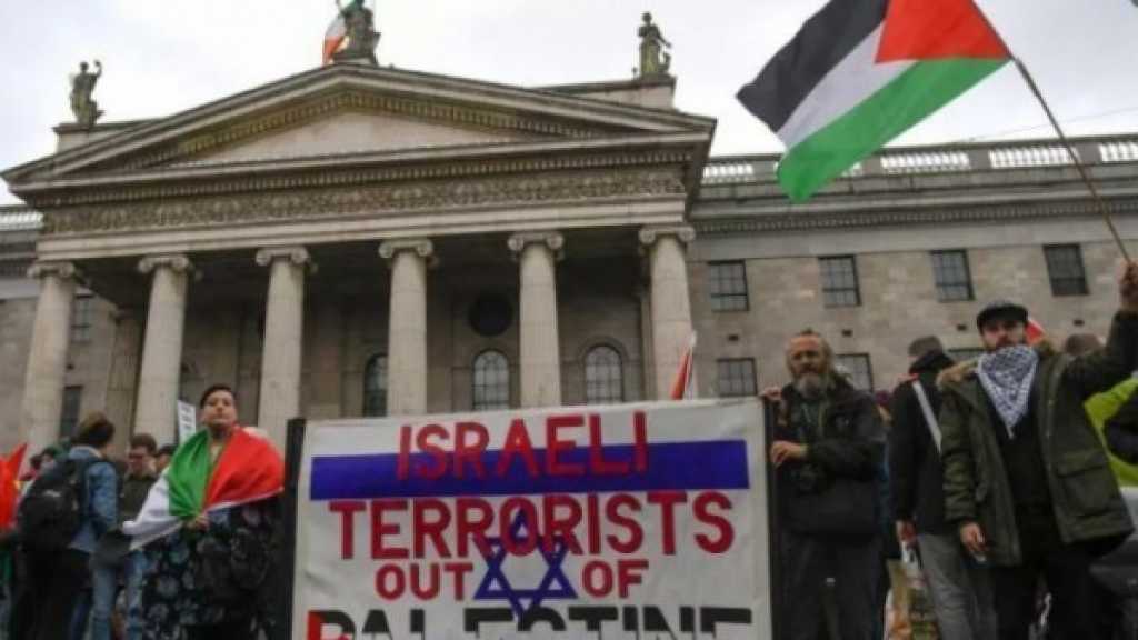 مجلس &rsquo;الشيوخ&rsquo; الإيرلندي يقر حظر استيراد منتجات الاحتلال الإسرائيلي