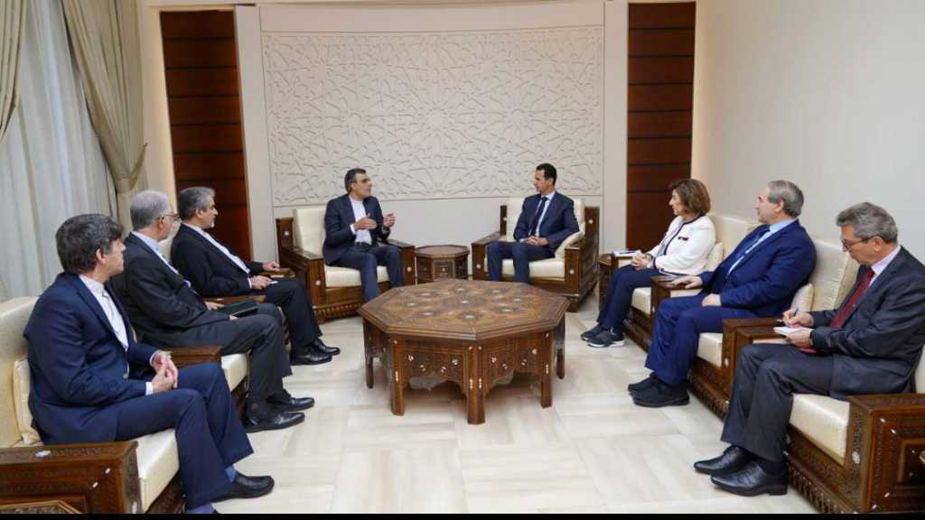 الأسد مستقبلا أنصاري: القضاء على الاٍرهاب حقق الأرضية الأنسب للتوصل الى نتائج على المستوى السياسي