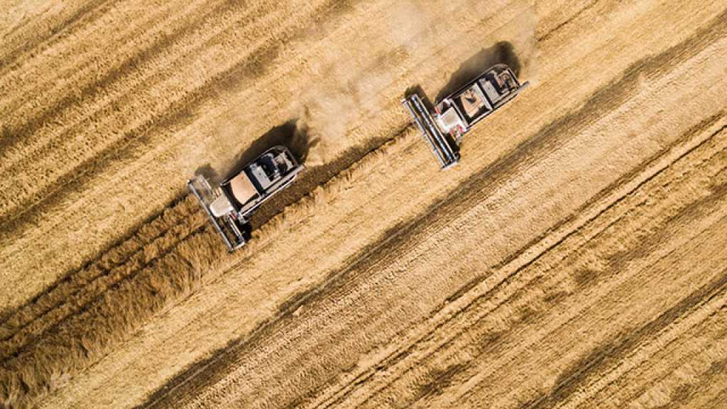 القمح الروسي مقابل الخضار والفواكه السورية