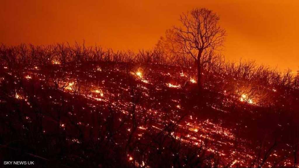 حرائق كاليفورنيا.. إعصار من نار