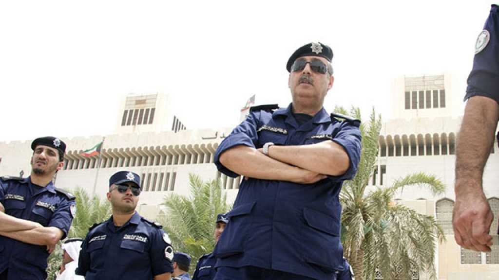 الأمن الكويتي يسيطر على أسد طليق في كبد