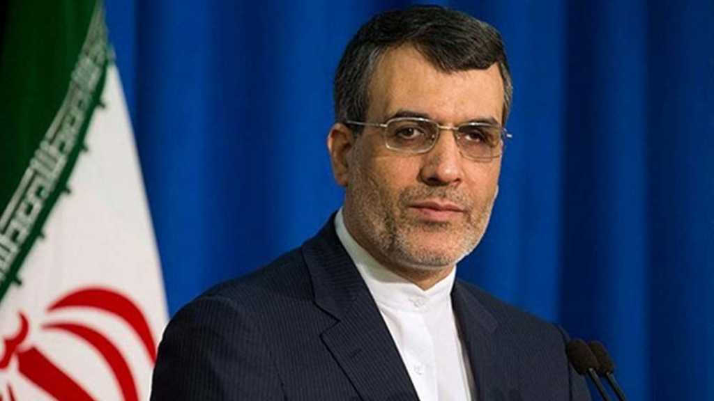 جابري أنصاري: الانهاء الفوري للازمة في سوريا من اولويات سياسة إيران الإقليمية