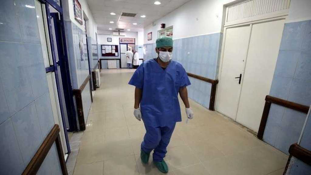 الجزائر: الكشف عن مصدر الكوليرا