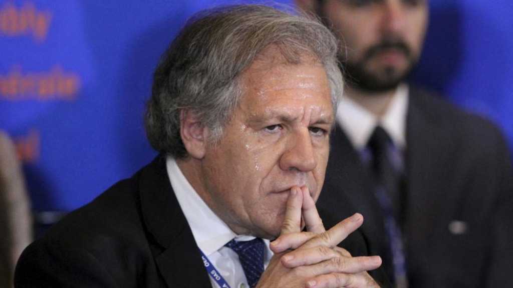 منظمة الدول الأمريكية لا تستبعد التدخل العسكري في فنزويلا