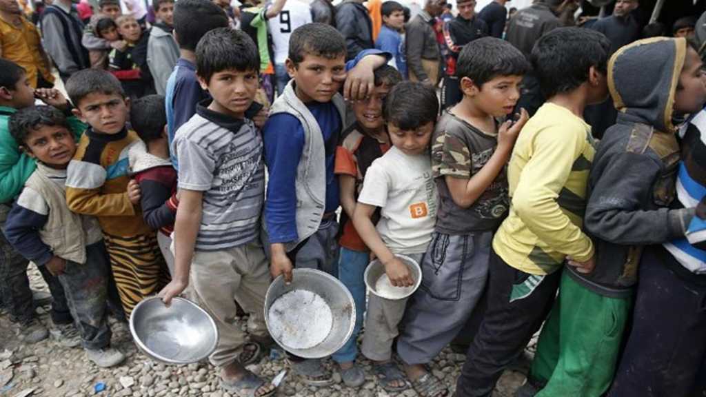 الأمم المتحدة: نخسر معركتنا ضد المجاعة في اليمن!