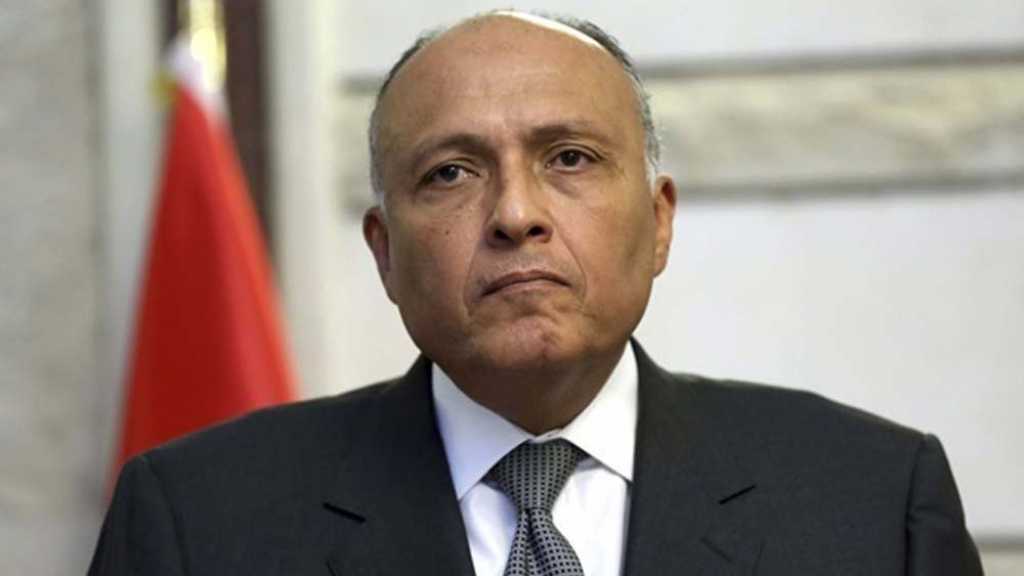 مصر تحذر من خروج الإرهابيين من إدلب إلى دول أخرى