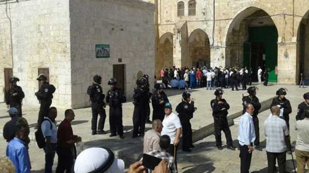 420 مستوطنًا يقتحمون الأقصى بحماية صهيونية