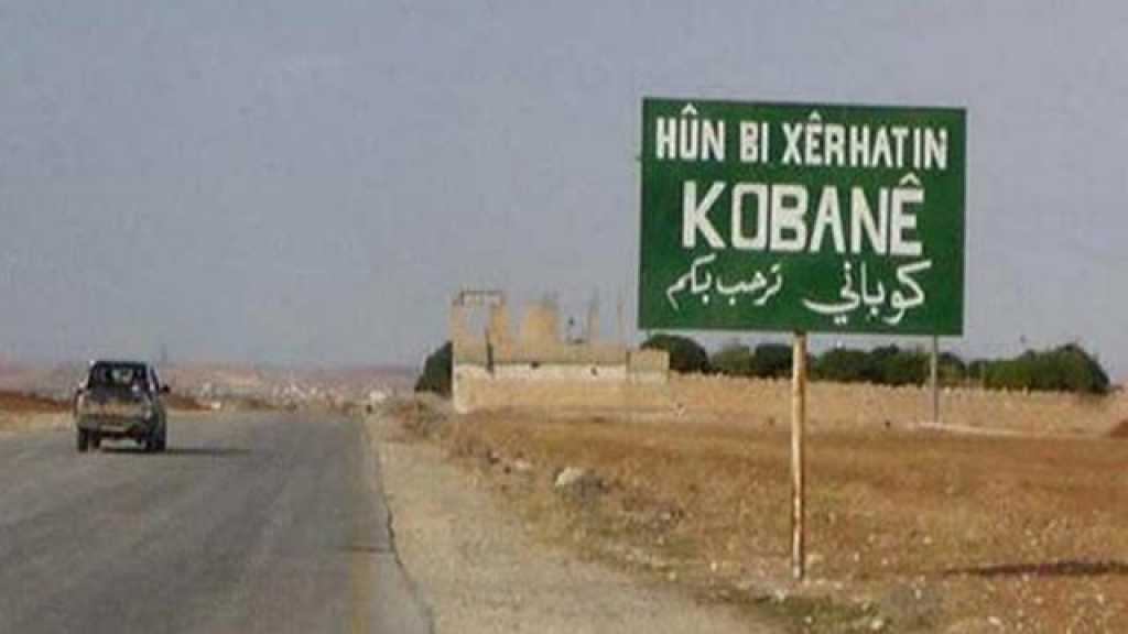 وفد خليجي يزور مدينة عين العرب