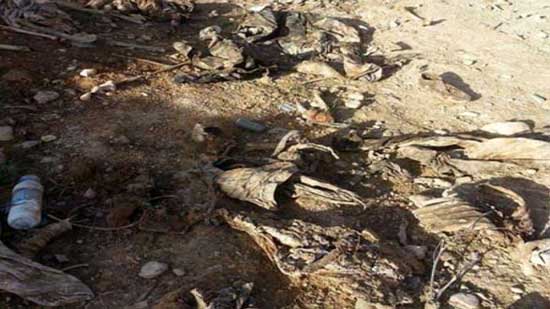 العثور على مقبرة جماعية تحوي رفات 25 ايزيديا شمال غرب العراق